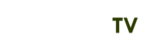 bảo hiểm thân vỏ ô tô